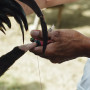 6 Famous Gaffers and Their Influence on Cockfighting